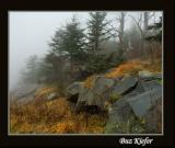 Fog on Clingman's Dome
