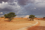 Desert road 2.