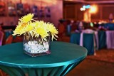 _MG_0150.jpg