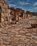 _MG_8459-caesarea.jpg