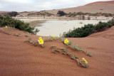 Sossus Vlei - Namibia
