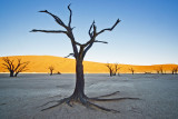 Dead Vlei - Namibie