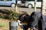  Owner of plant getting some photos !!!