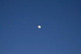 Clear skys and almost full moon made for even cold cold colder night !!!