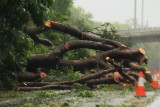 Cyclone Carlos