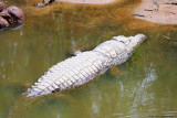 Parc Kruger