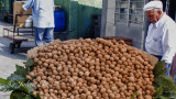 Walnut vendor