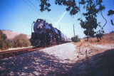 Santa Fe #3751 - Through the Orange Groves 2008