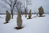 Winter Sentinels, Ottawa