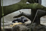 Nap time
