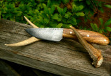 Zebrawood Skinner on Rail.jpg