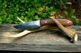 Bolivian Rosewood Skinner on Rail.jpg
