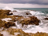 Little Cayman Ironshore