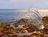 Ironshore Splash