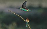 TJ_2011__034675.jpg
