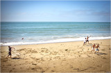 Happy Labor Day Weekend !