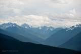 Hurricane Ridge