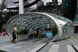 ION Orchard
