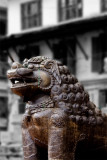 Lion, Durbur Sq.