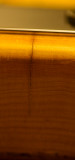 lap_steel