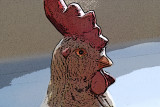 chicken [rooster] face