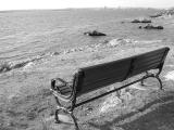 new haven bench