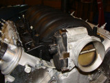 pictures 006.JPG