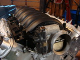 pictures 008.JPG