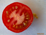 4 - The Pattern of a Tomato