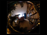 December 26th: Fish Eye