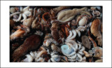 Grau</br>puzzle de poulpes</br>(Poulpzzle)