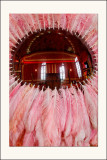VersaillesMon truc en Plumes