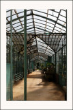 Serres d'Auteuil