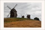 Vieux moulins</br>de Moraczewo
