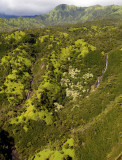 Mt. Waialeale, Kauai, HI