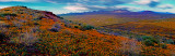 Atop Peridot Mesa, San Carlos Apache Reservation, AZ