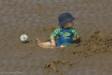 Sunny Day at the Beach