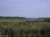 P1010742.jpg