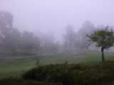 Foggy Sunrise