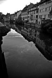 IMG_3779.jpg