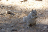 North Rim July 2011 (163).JPG