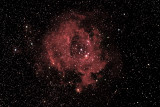 Rosette Nebula