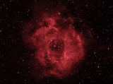 Rosette Nebula Hydrogen Alpha False Color