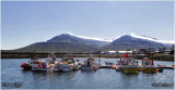 Dalvik fishing harbour