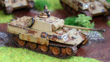 Panther_CiC.jpg