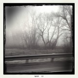 early foggy morn