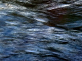 IMG_4198.JPG