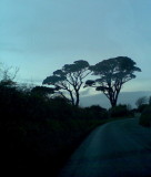 the journey- home from Cornwall