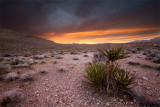 Red rock canyon sunset