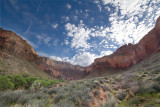 Indian Garden view up